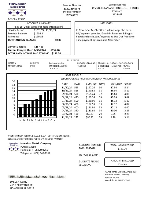USA Hawaiian Electric business utility bill template in Word and PDF formats